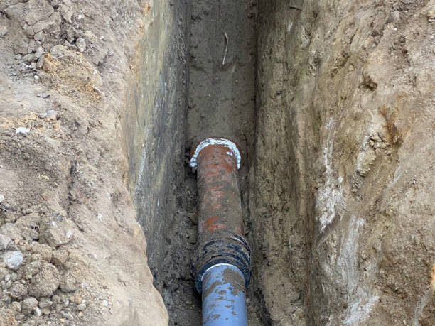 Best Flood damage cleanup  in Tiger Point, FL