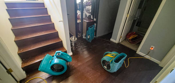 Best Residential water damage restoration  in Tiger Point, FL
