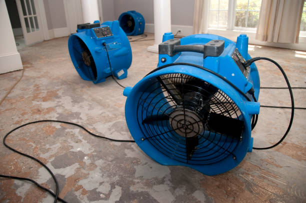 Best Water damage contractors near me  in Tiger Point, FL