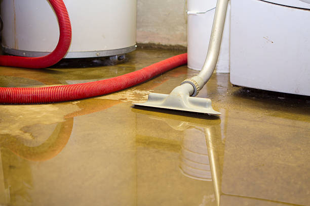 Best Flood restoration services  in Tiger Point, FL