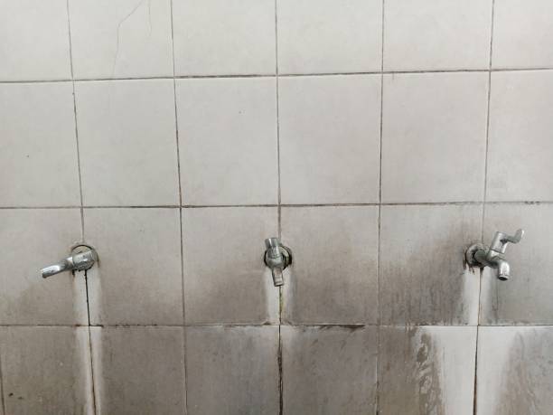 Best Ceiling water damage repair  in Tiger Point, FL