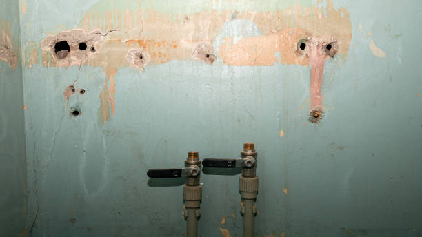 Carpet water damage restoration in FL