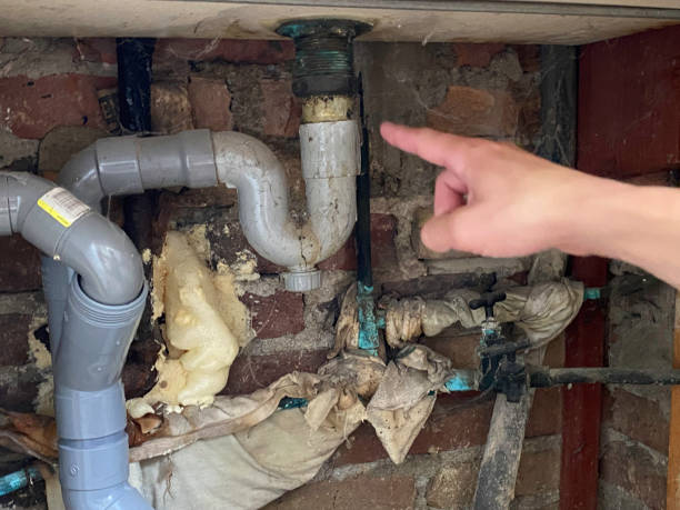 Best Commercial water damage restoration  in Tiger Point, FL