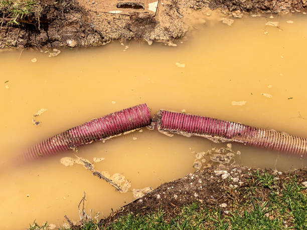 Best Water damage restoration process  in Tiger Point, FL