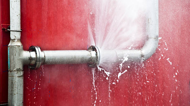 Best Carpet water damage restoration  in Tiger Point, FL