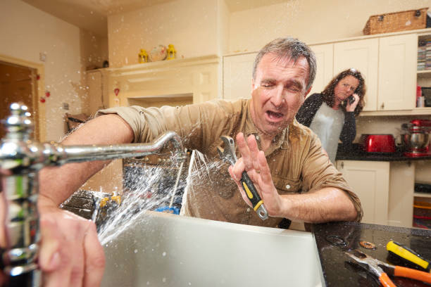 Best Mold removal after water damage  in Tiger Point, FL